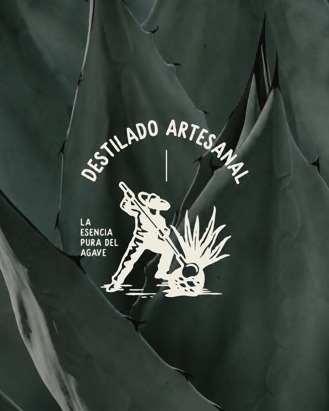Métricas Studio - Destilado Montoya